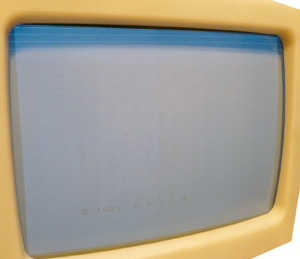 Дельта-С (Бытовой Персональный Компьютер БПК) в работе